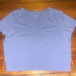 lightly worn wild fable periwinkle crop top sized XXL